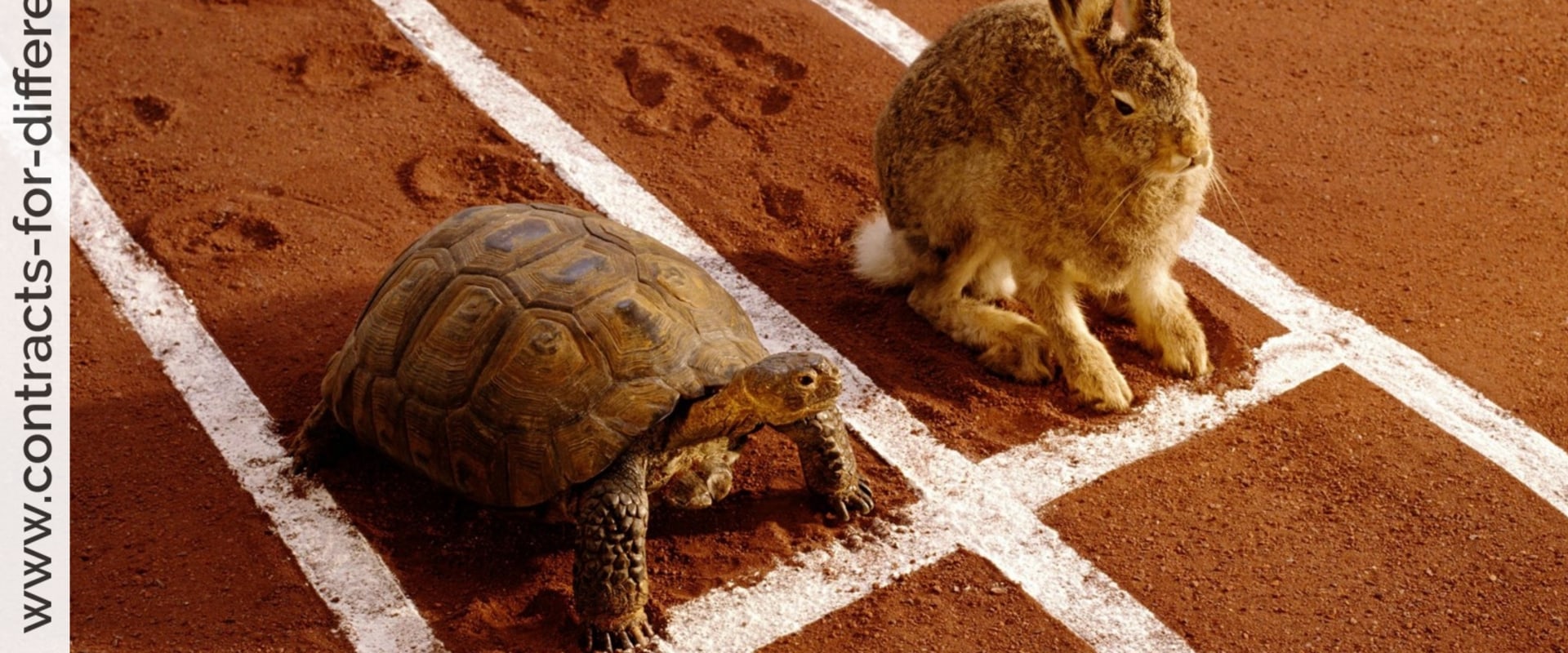 Day Trading vs. Long-Term Holding: Understanding the Differences